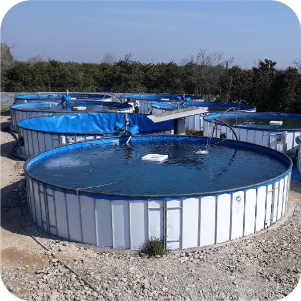 استخر شرکتی پرورش ماهی