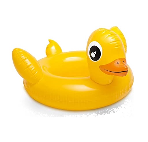 شناور بادی شورتی طرح اردک